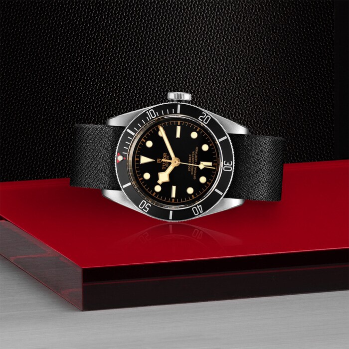 Tudor Black Bay