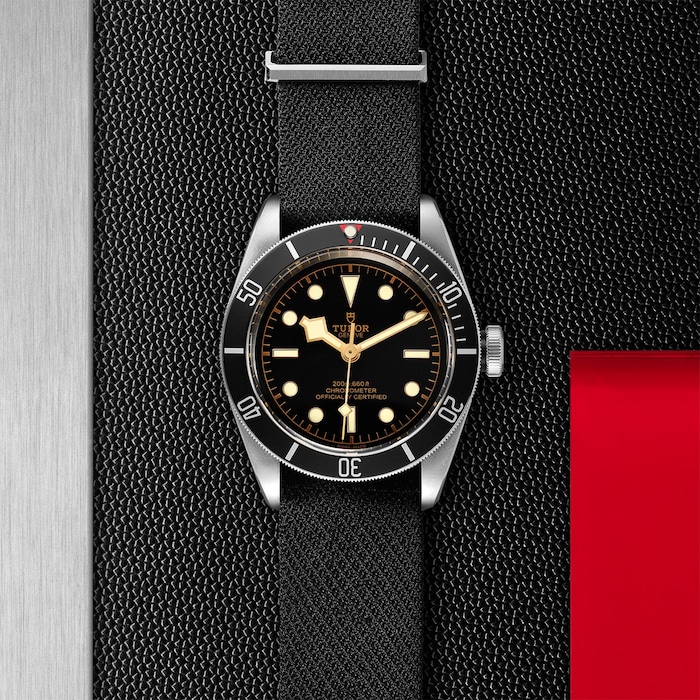 Tudor Black Bay