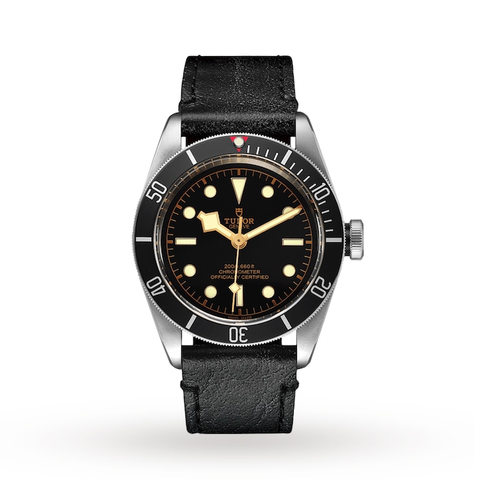 Tudor Black Bay