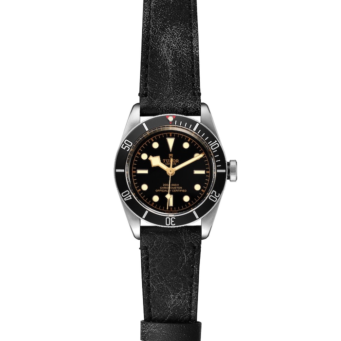 Tudor Black Bay