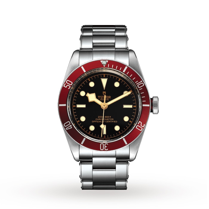 Tudor Black Bay