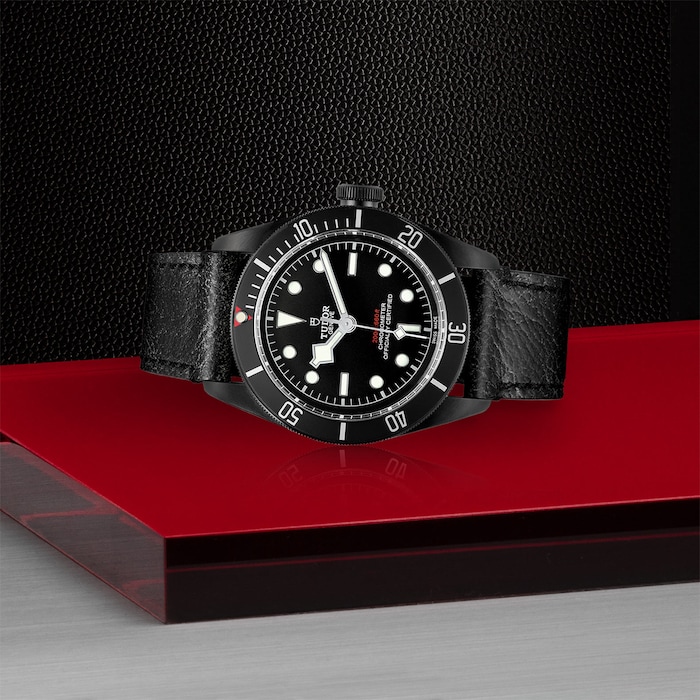 Tudor Black Bay Dark