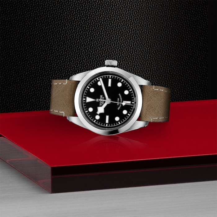 Tudor Black Bay 36