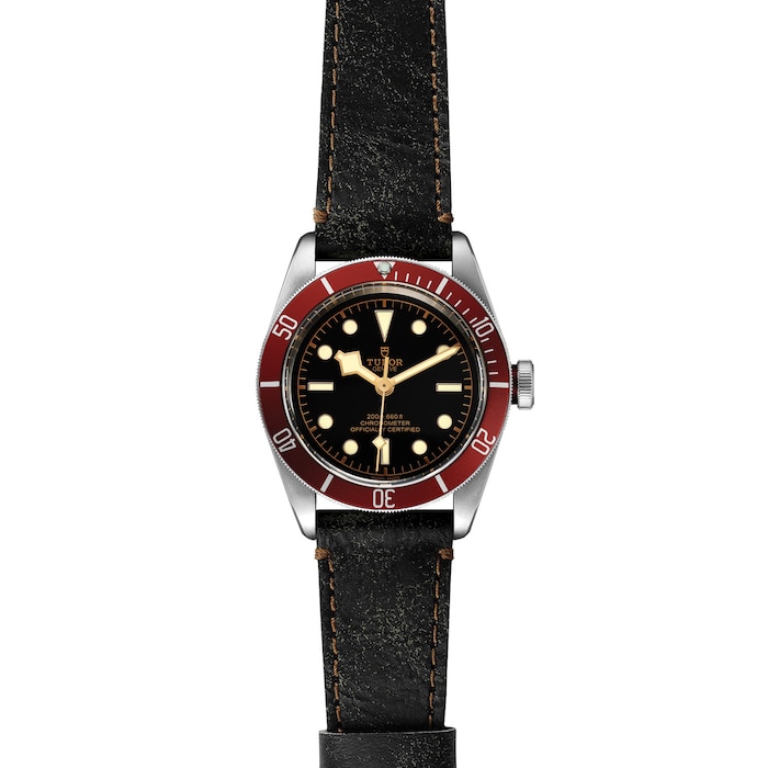 Tudor Black Bay