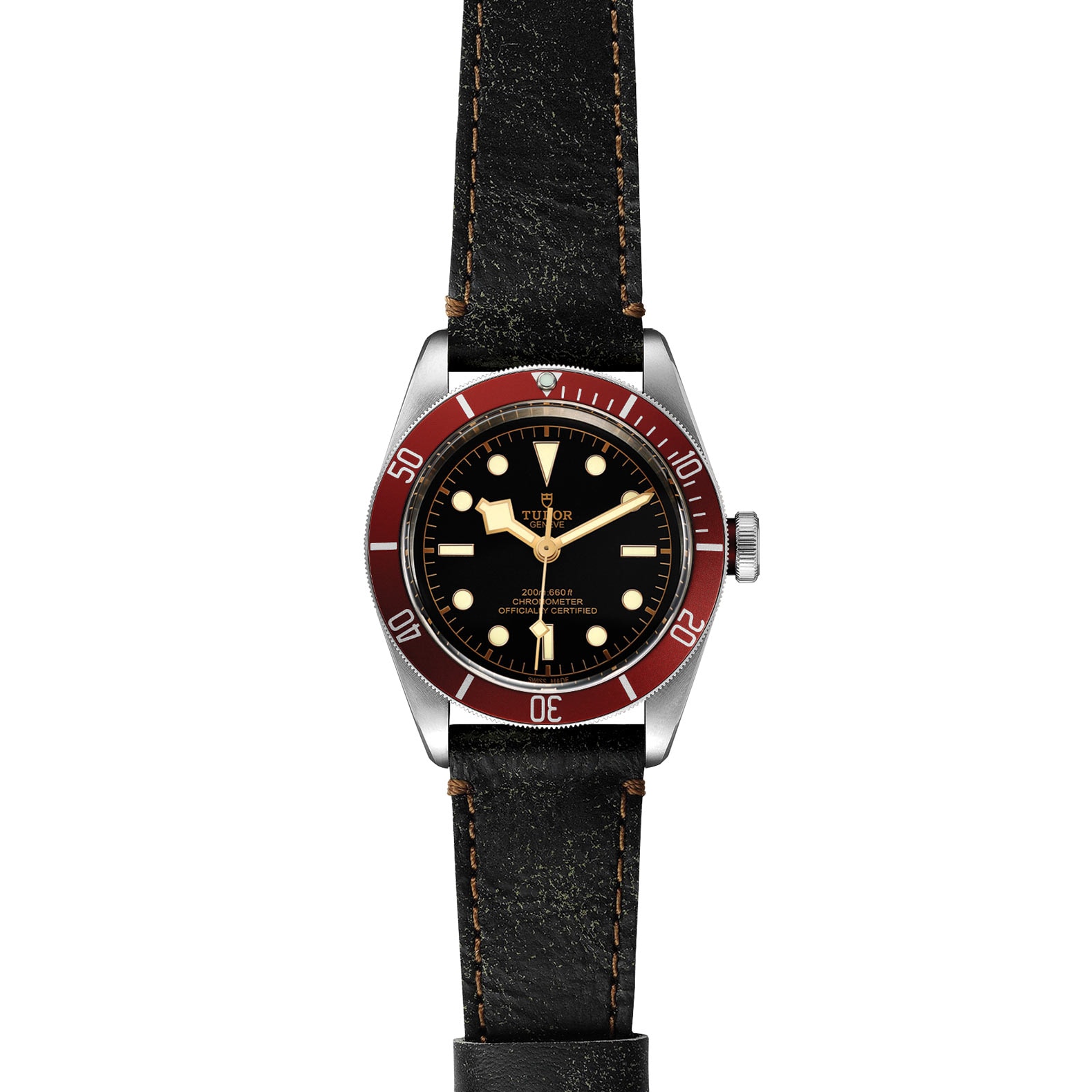 Tudor Black Bay