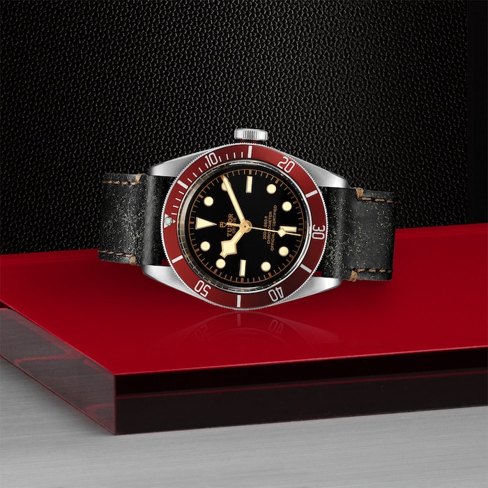 Tudor Black Bay