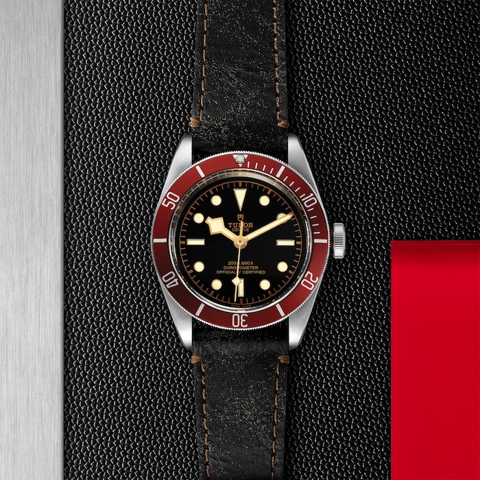 Tudor Black Bay