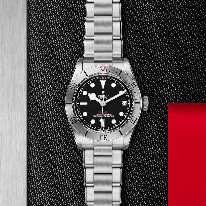 Tudor Black Bay Steel