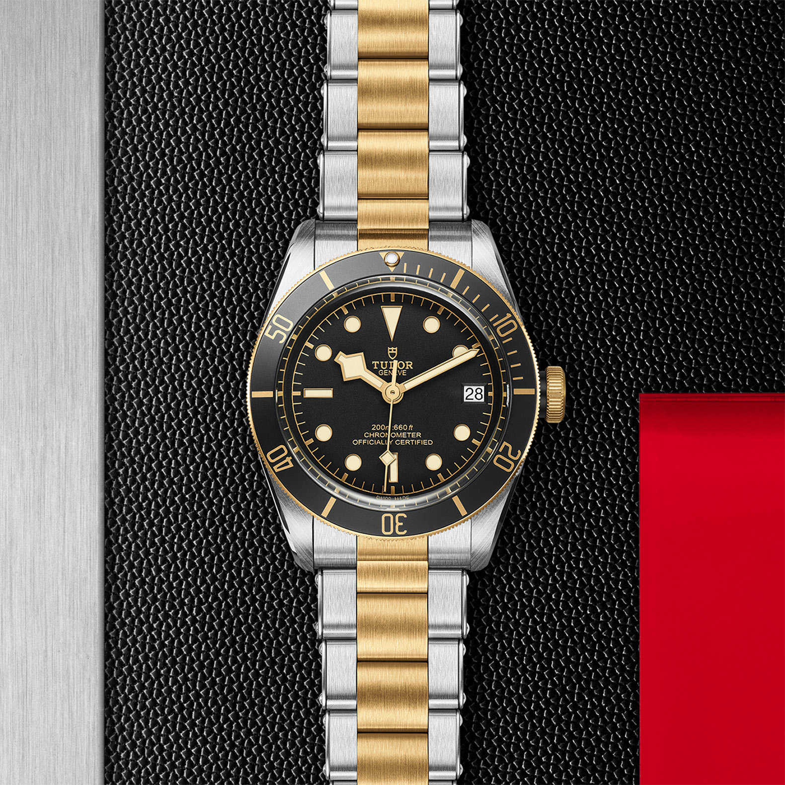 Tudor heritage 2024 black bay s&g