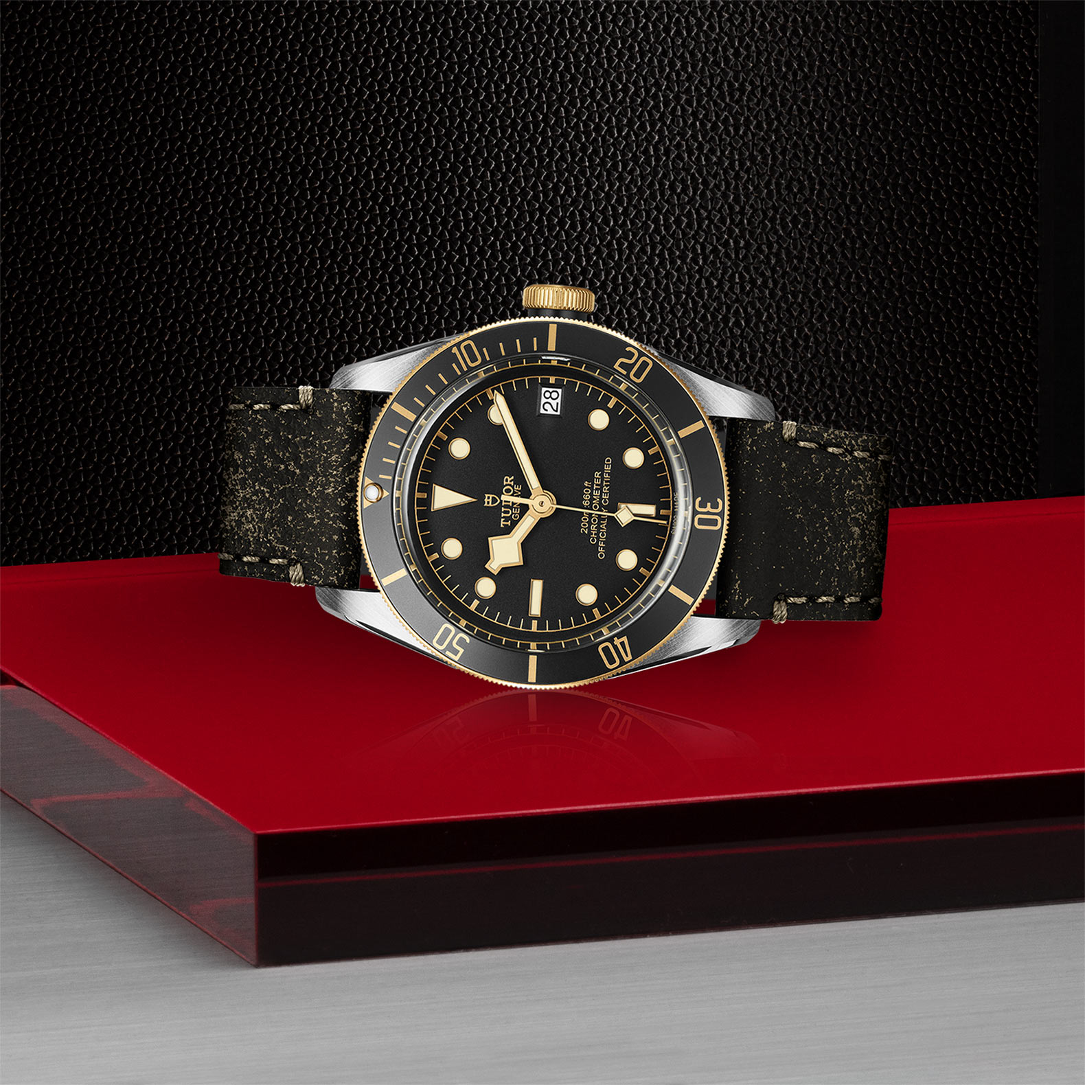 Tudor Black Bay S&G Tudor Black Bay S&G