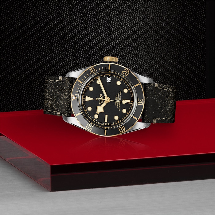 Tudor Black Bay S&G