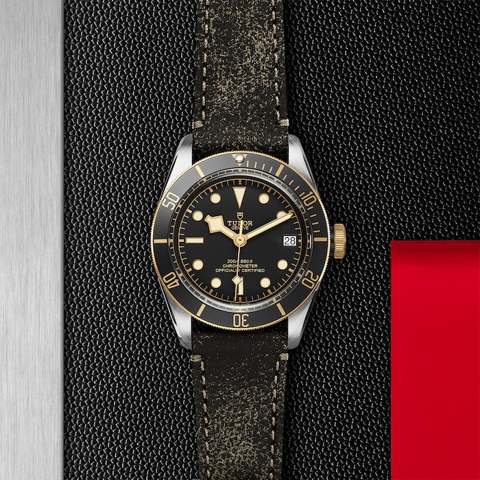 Tudor Black Bay S&G