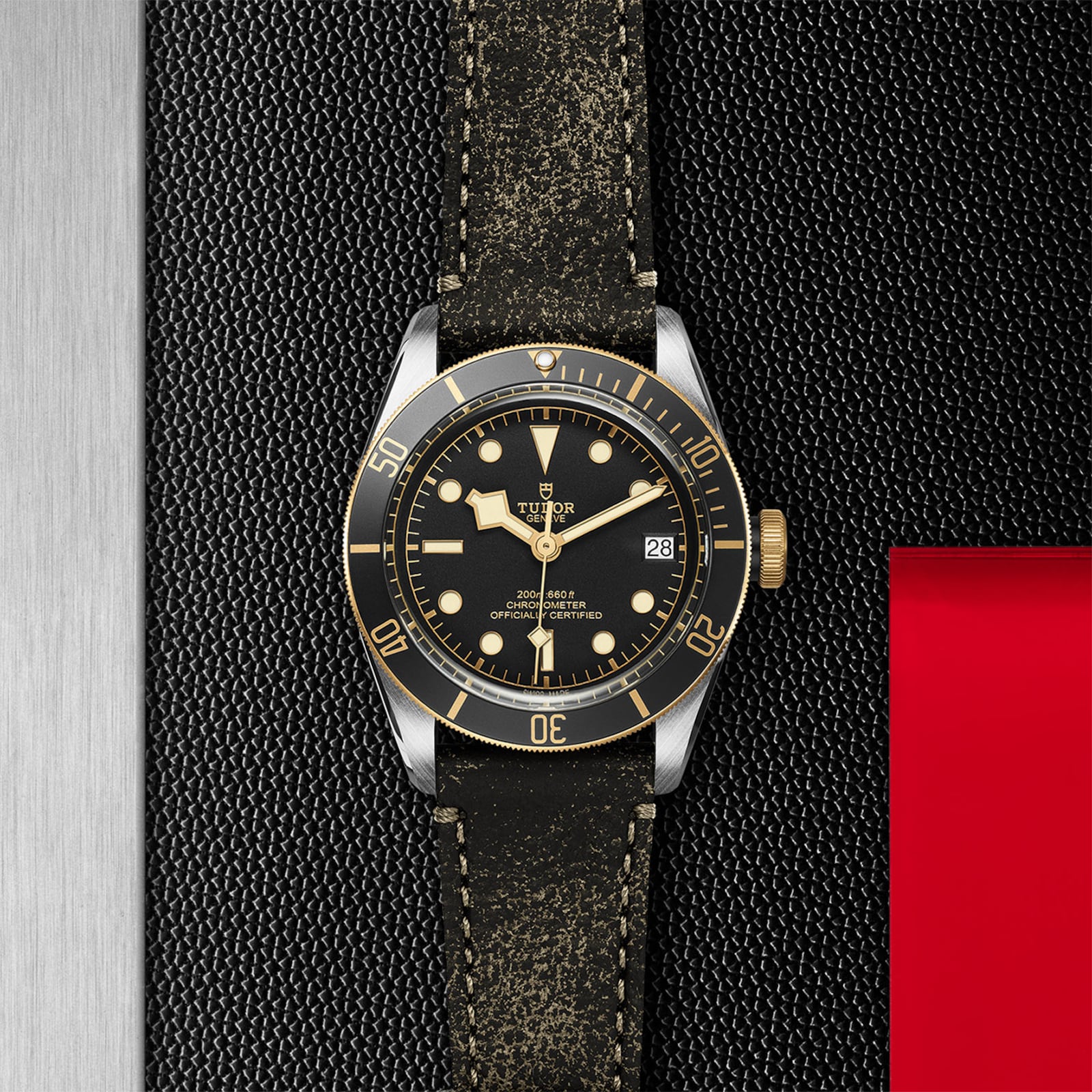 Tudor Black Bay S&G