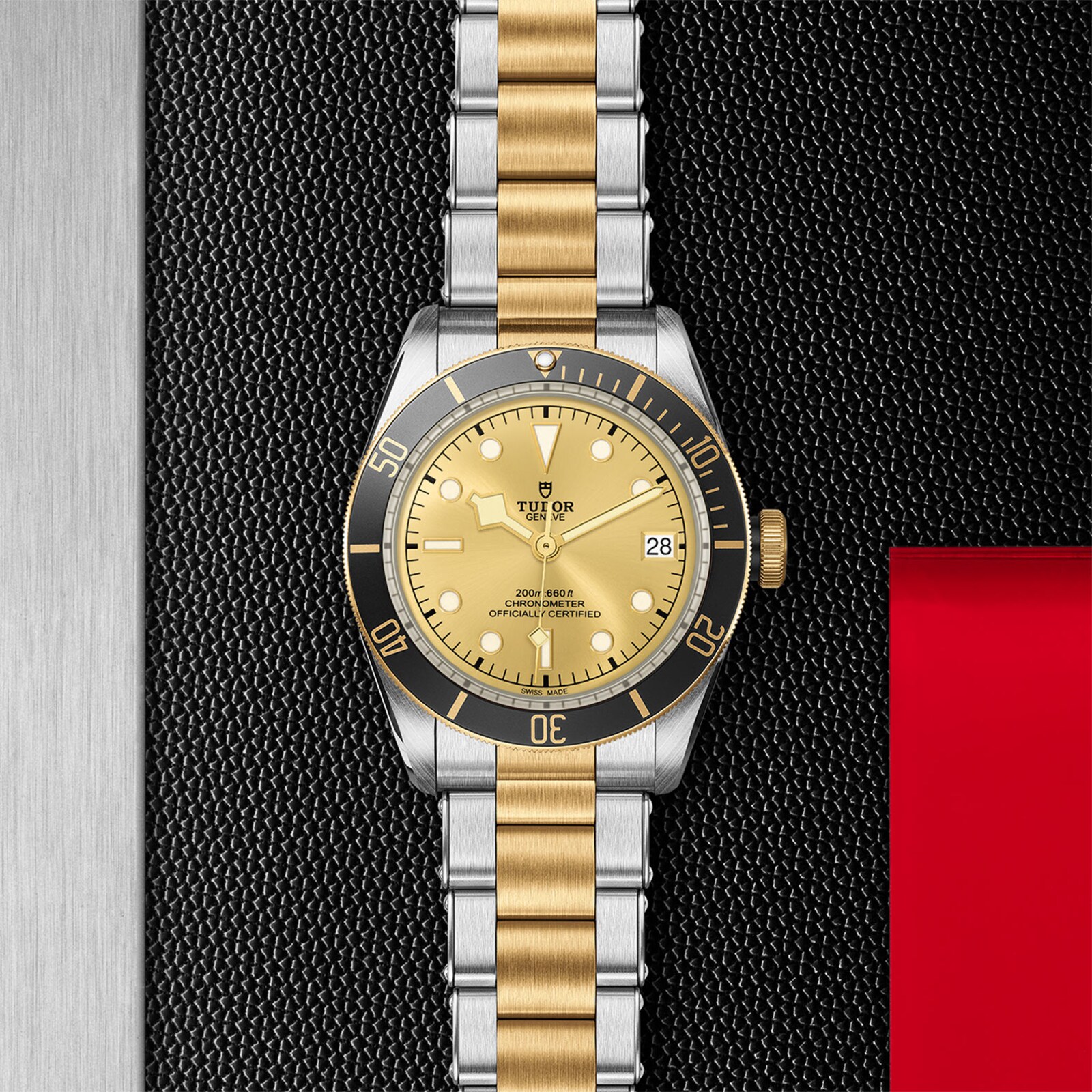 Tudor Black Bay S&G