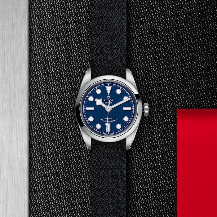 Tudor Black Bay