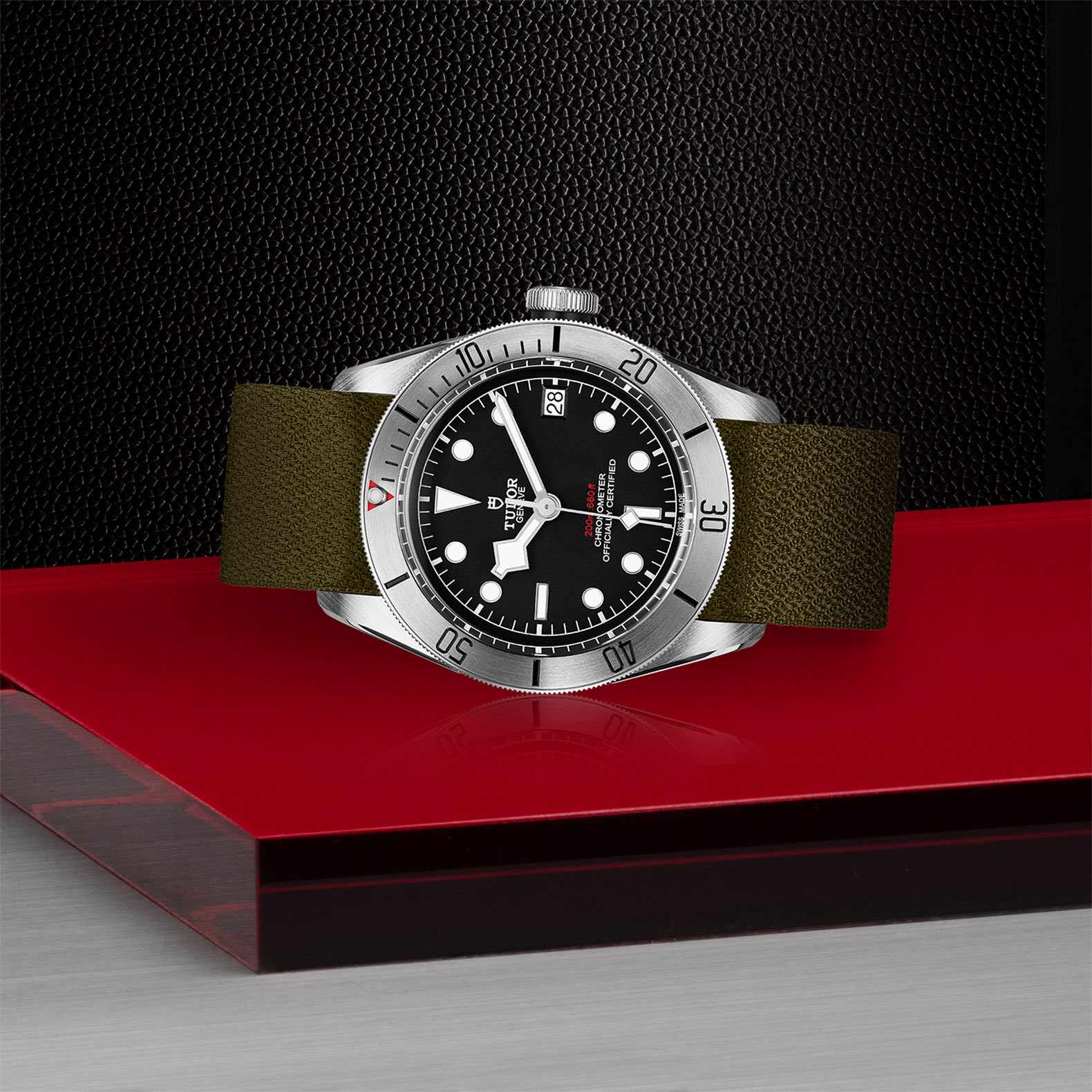 Tudor Black Bay Steel