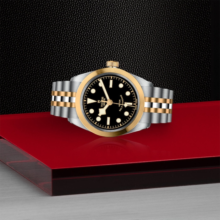 Tudor Black Bay One 36 S&G