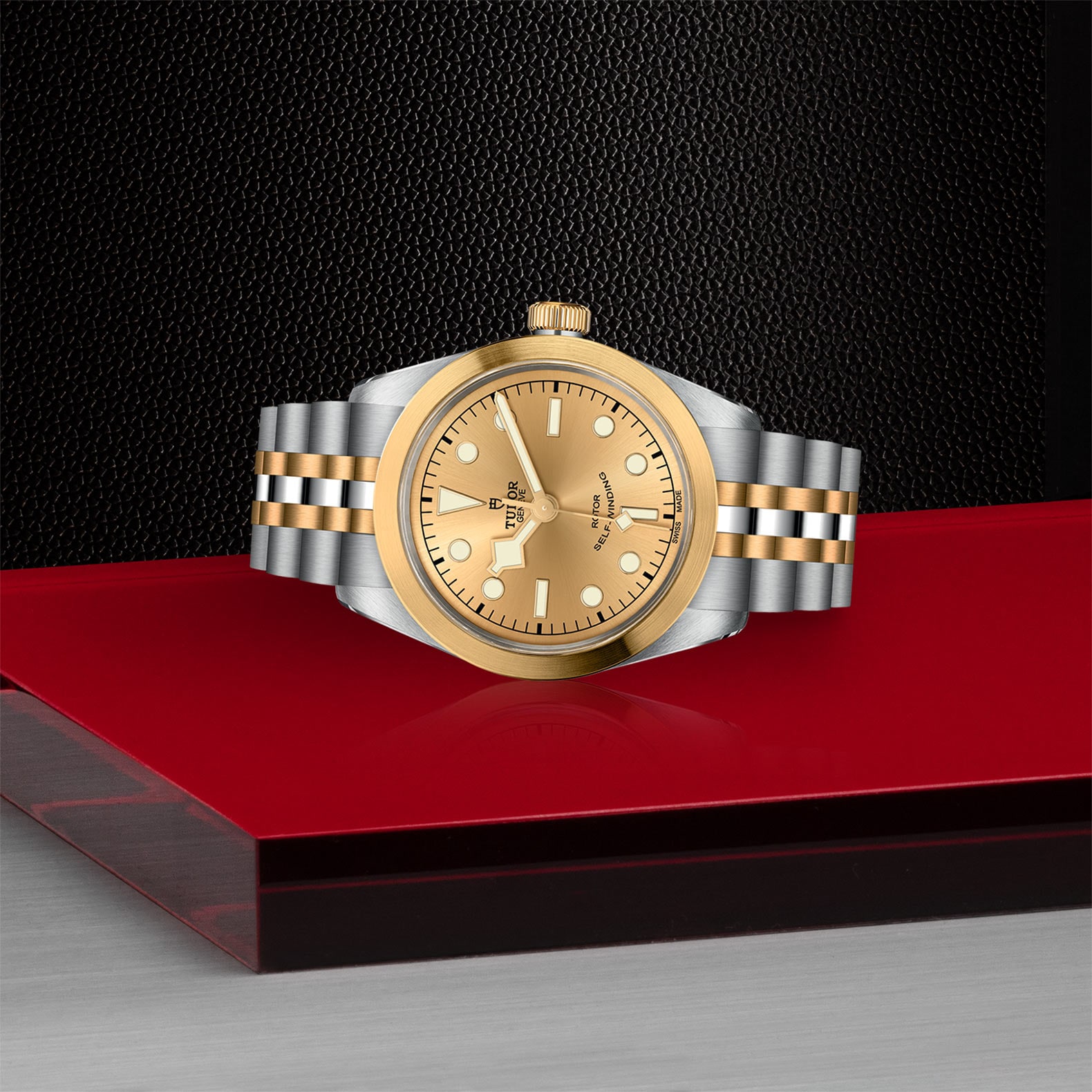 Tudor Black Bay One 36 S&G