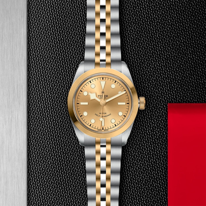 Tudor Black Bay One 36 S&G