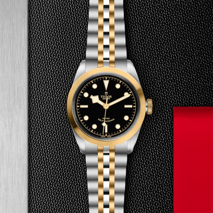 Tudor Black Bay 41 S&G