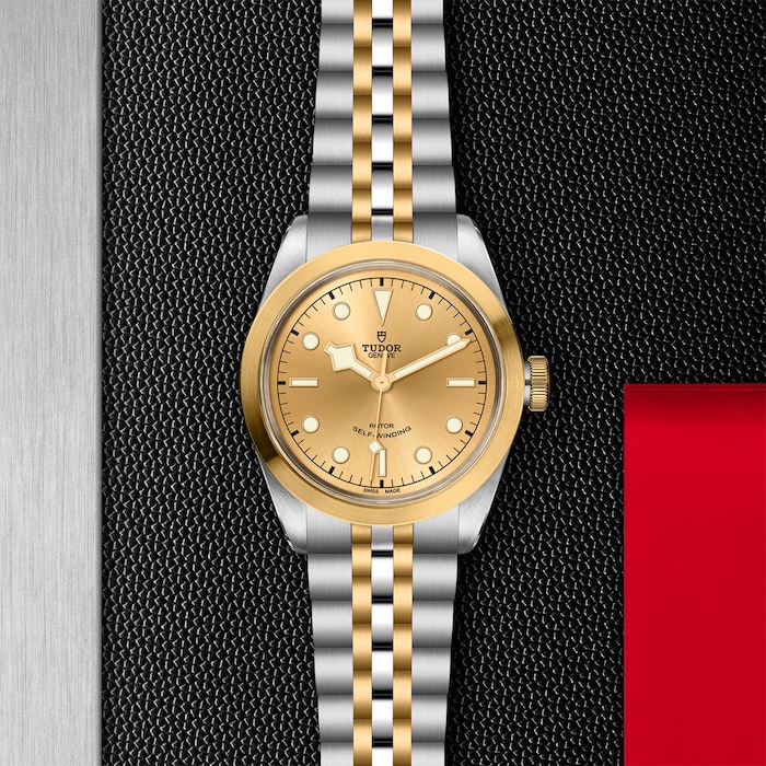 Tudor Black Bay One 41 S&G
