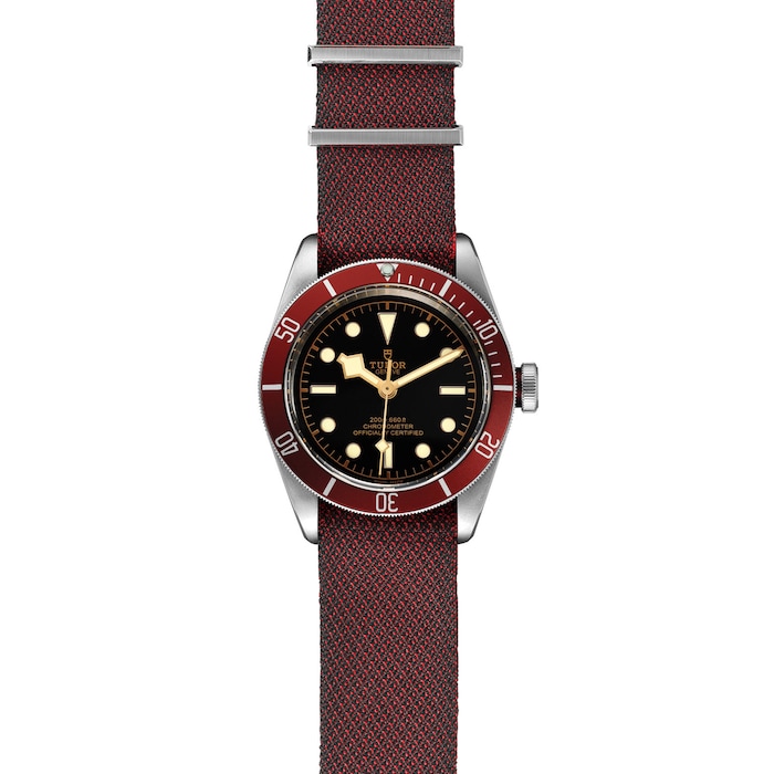 Tudor Black Bay