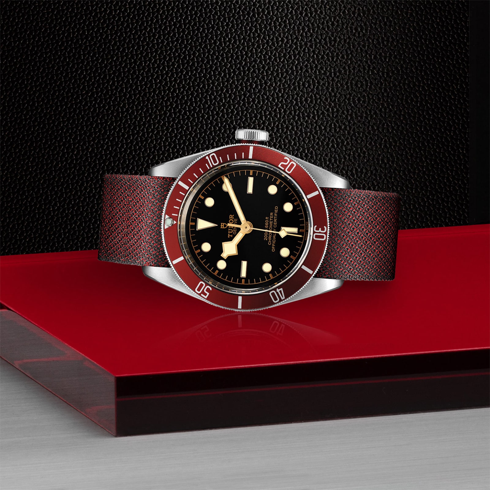 Tudor Black Bay M79230R 0009 Watches Of Switzerland UK