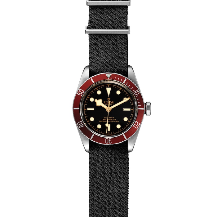 Tudor Black Bay