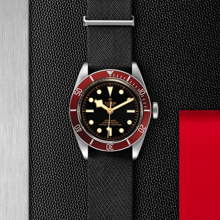 Tudor Black Bay