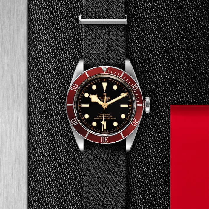 Tudor Black Bay