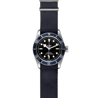 Tudor Black Bay