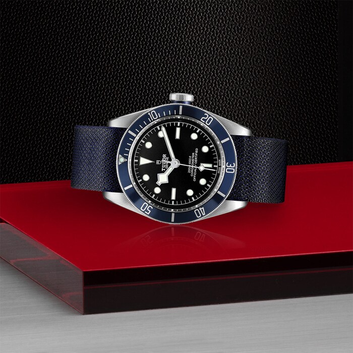 Tudor Black Bay