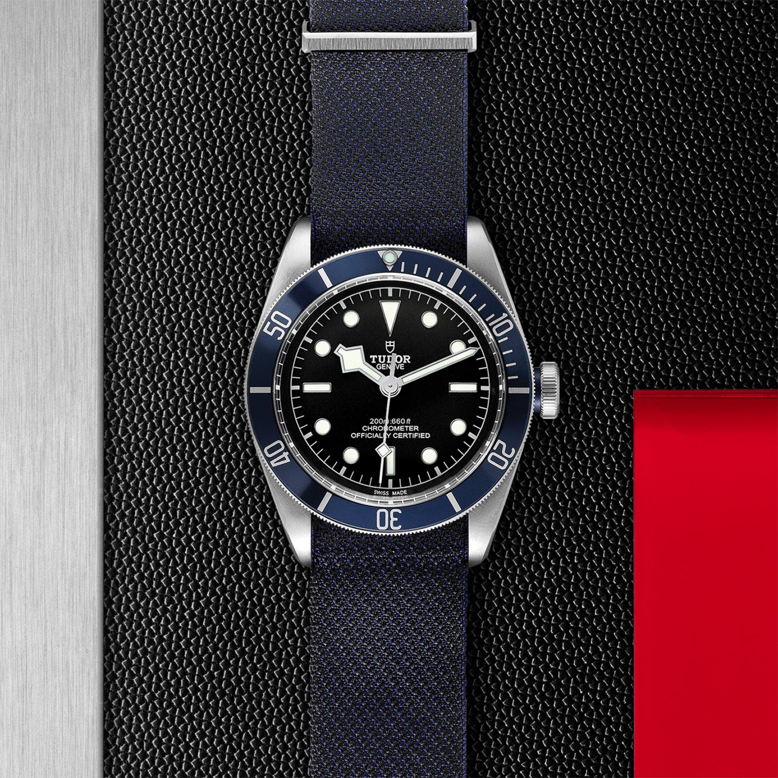 Tudor Black Bay
