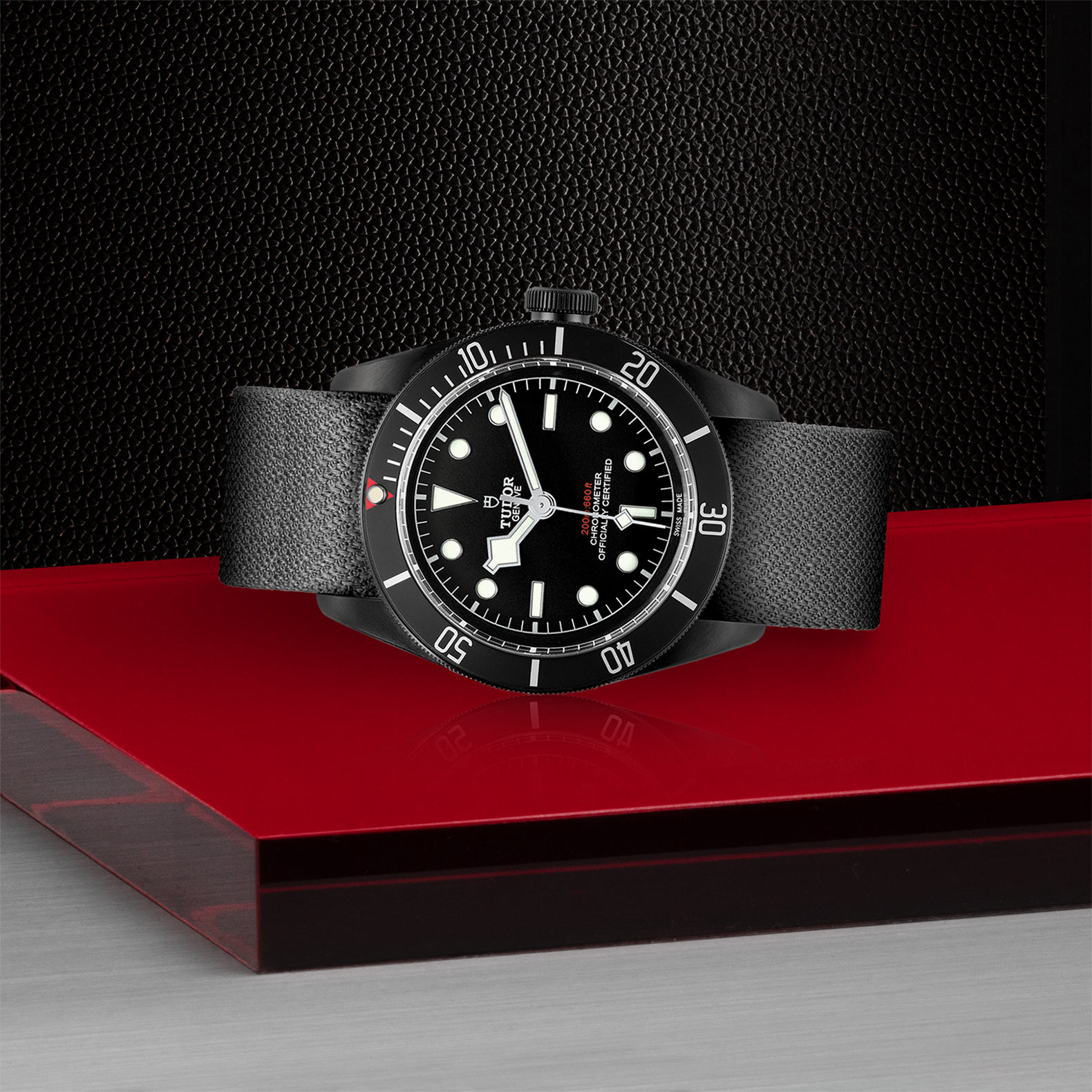 tudor dark