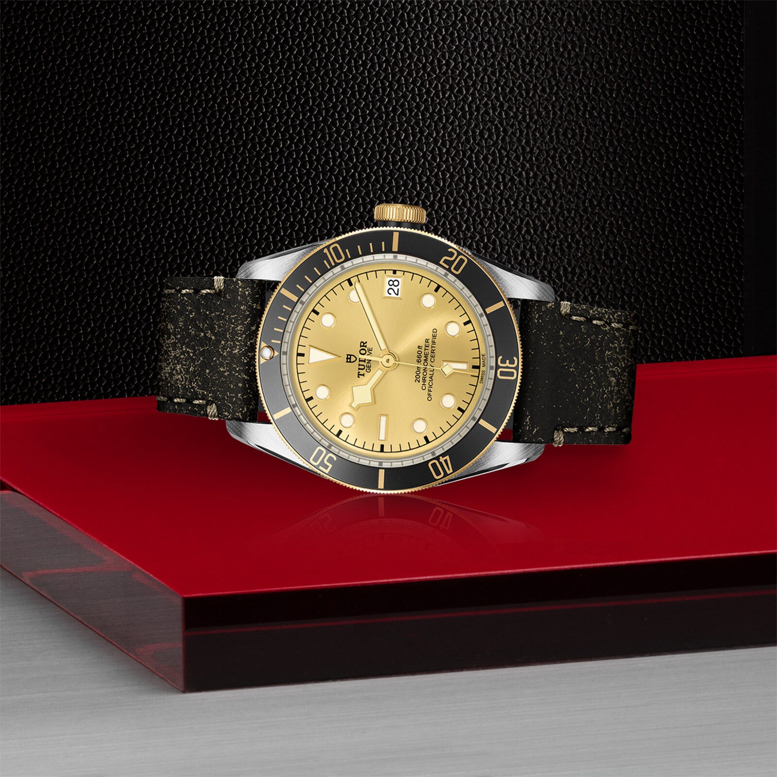 Tudor Black Bay S&G