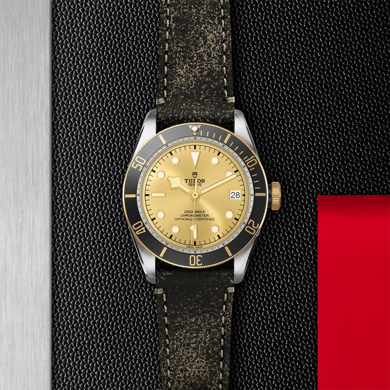Tudor Black Bay S&G