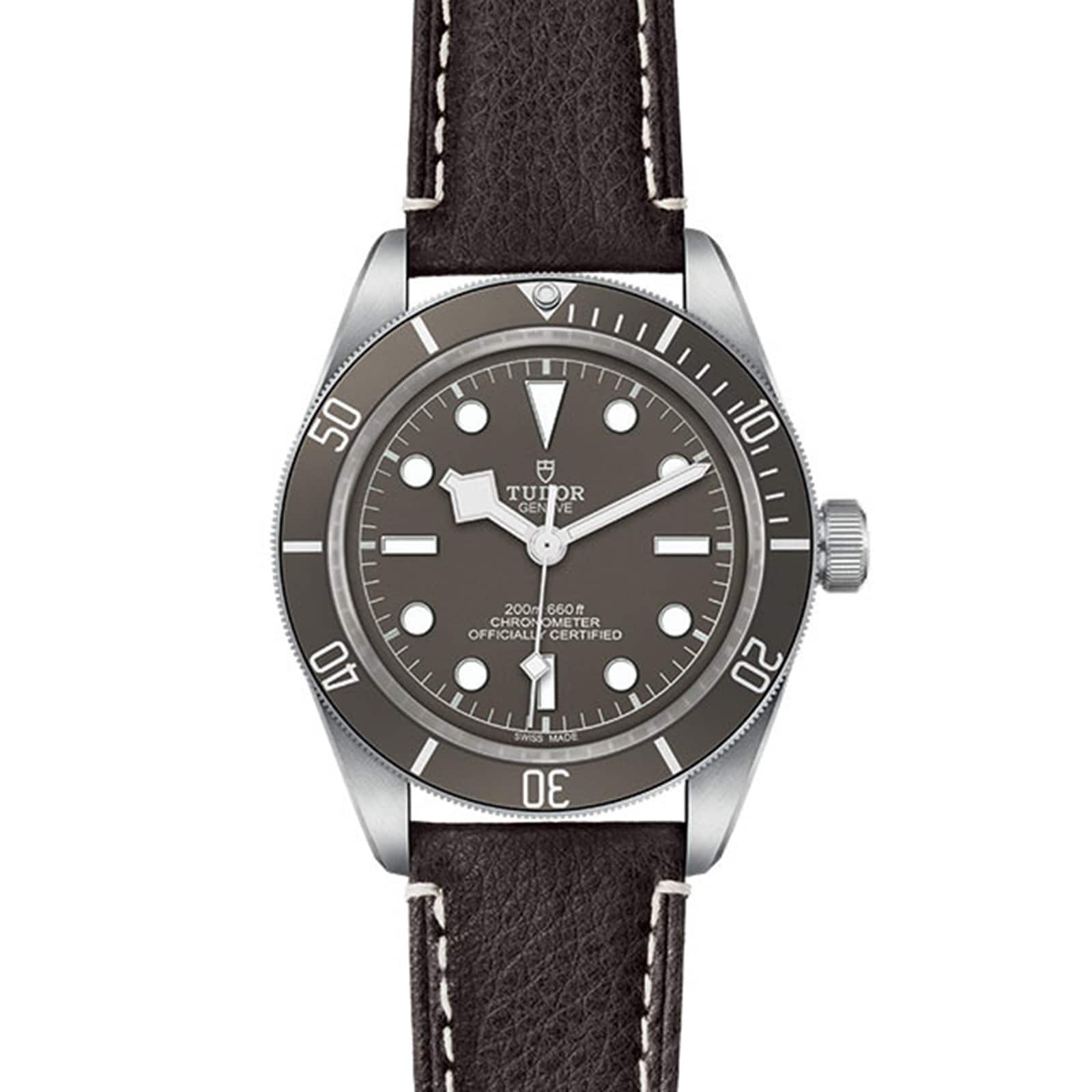 Tudor Black Bay 58 925 39mm Silver Case Brown Leather Bracelet