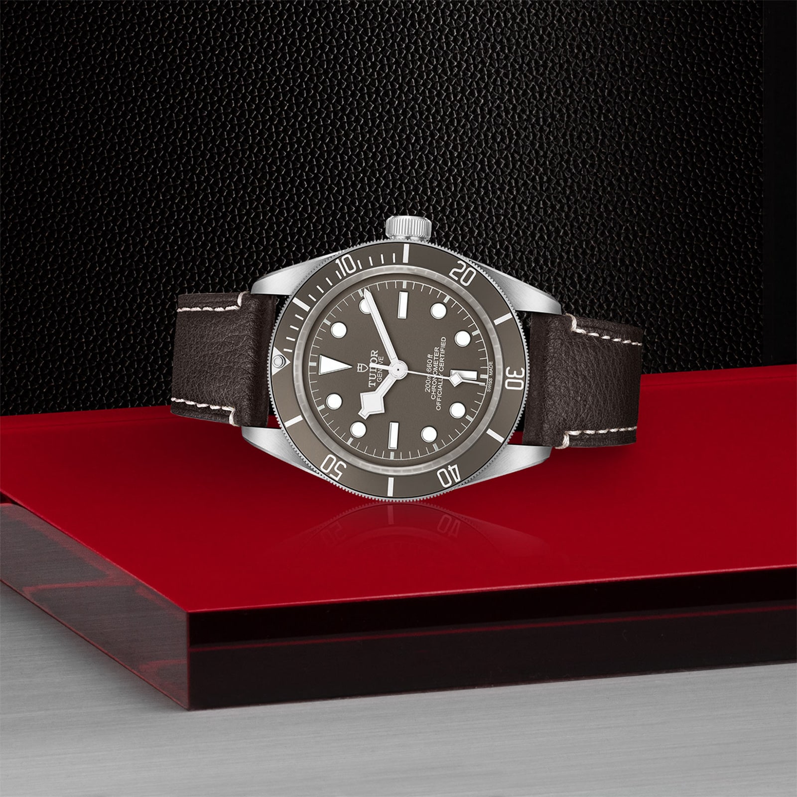 Tudor Black Bay 58 925 39mm Silver Case Brown Leather Bracelet