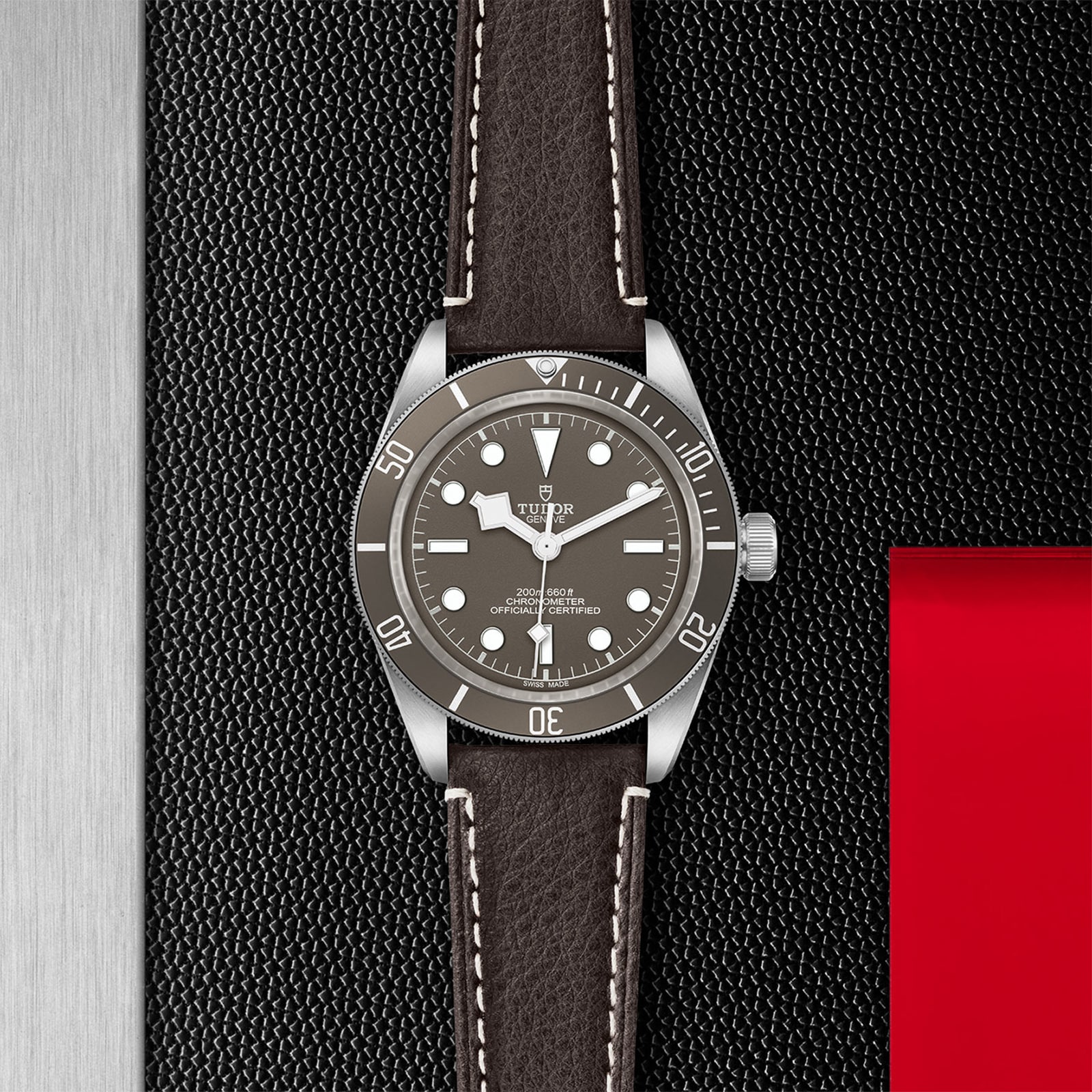 Tudor Black Bay 58 925 39mm Silver Case Brown Leather Bracelet
