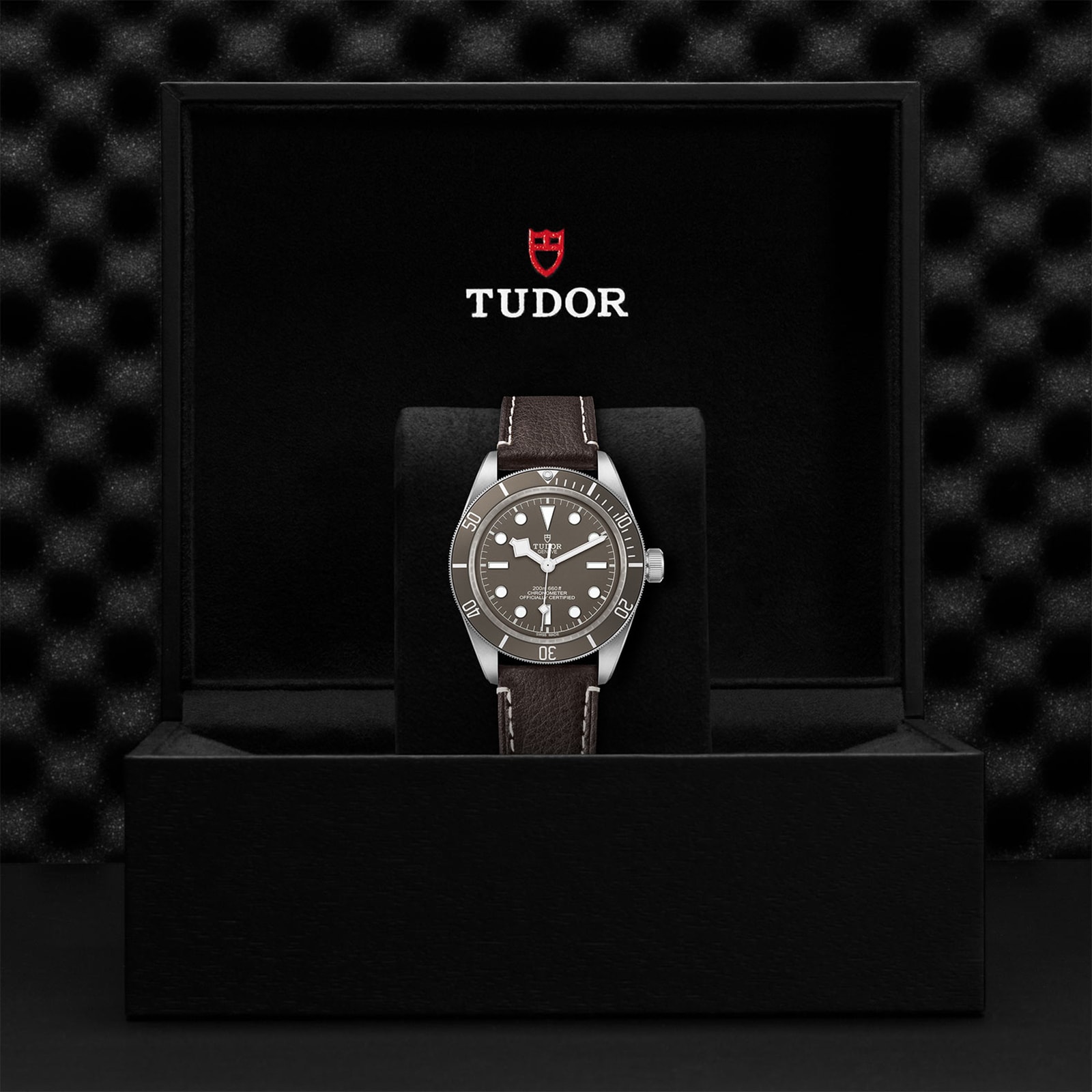 Tudor Black Bay 58 925 39mm Silver Case Brown Leather Bracelet