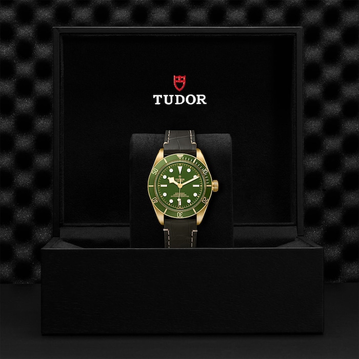 Tudor Black Bay Fifty-Eight 18k