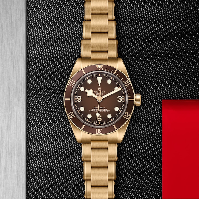 Tudor Exclusive “Boutique Edition” Black Bay Fifty-Eight Bronze