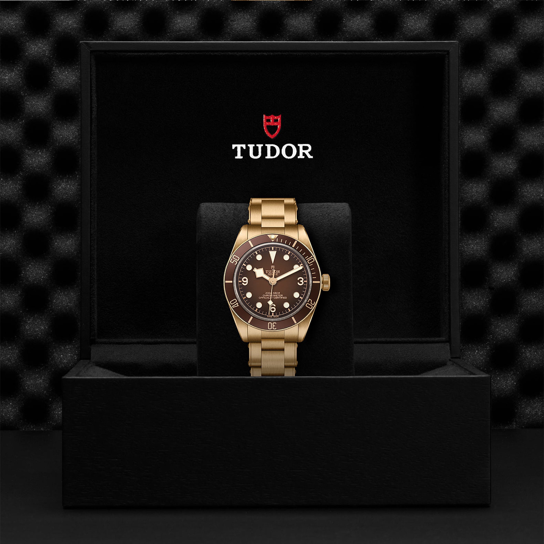 Tudor Exclusive Boutique Edition Black Bay Fifty-Eight Bronze Tudor Exclusive Boutique Edition Black Bay Fifty-Eight Bronze