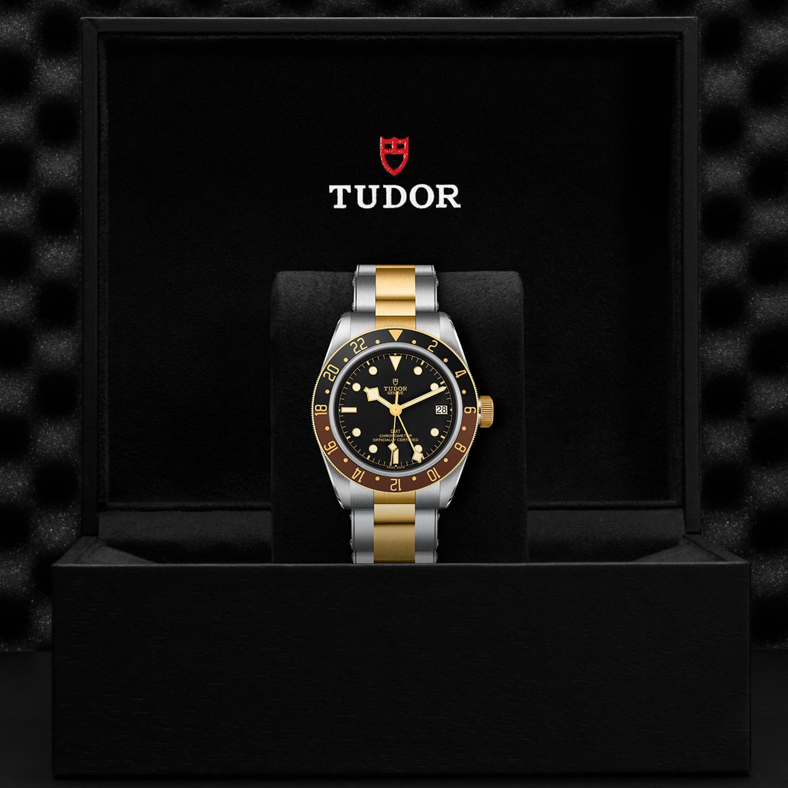 Tudor Black Bay GMT S&G