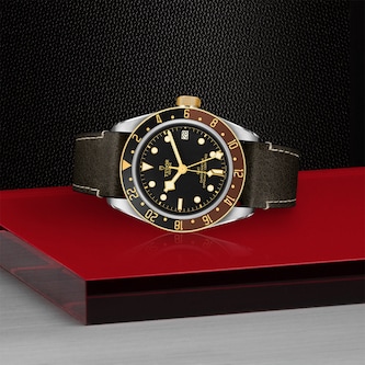 Tudor Black Bay GMT S&G