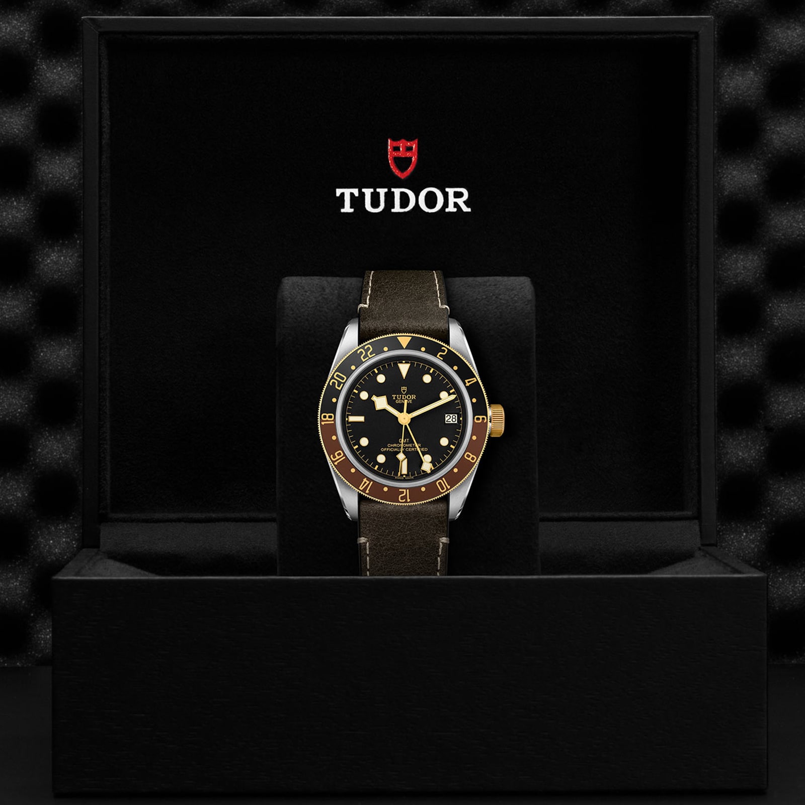 Tudor Black Bay GMT S&G