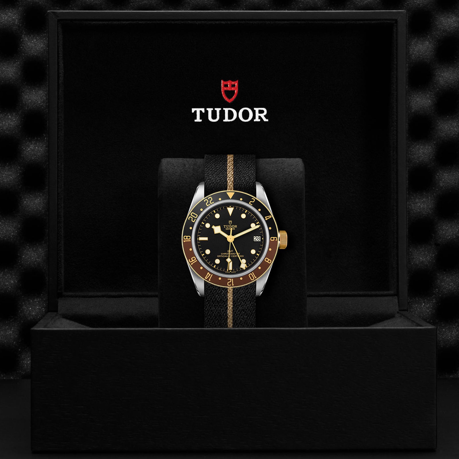 Tudor Black Bay GMT S&G