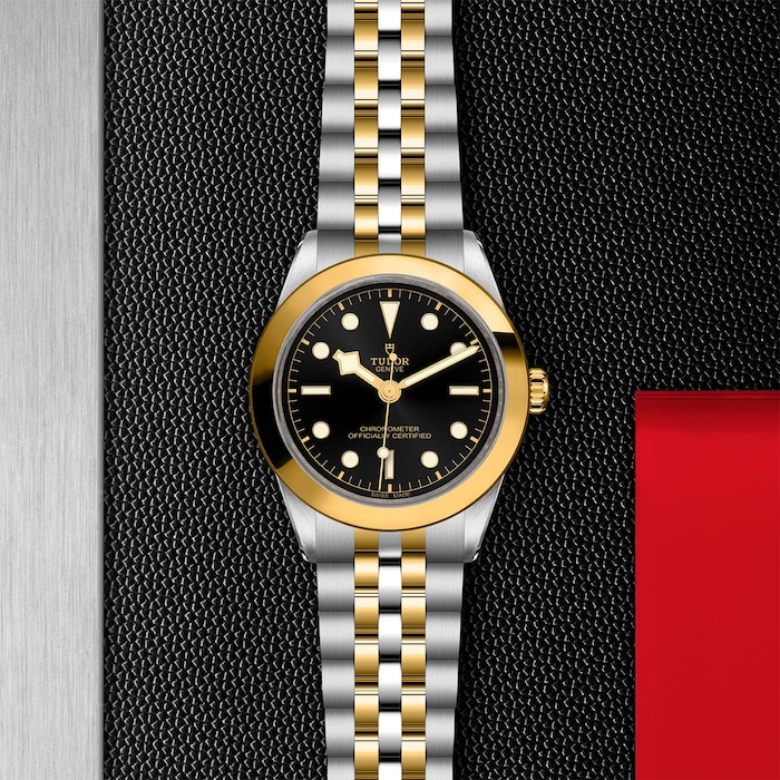 Tudor Black Bay 39