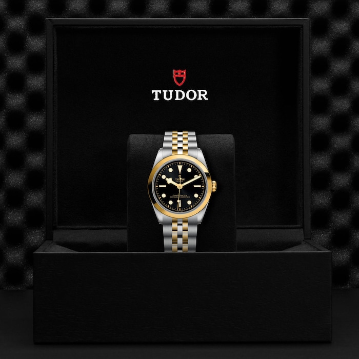 Tudor Black Bay 36