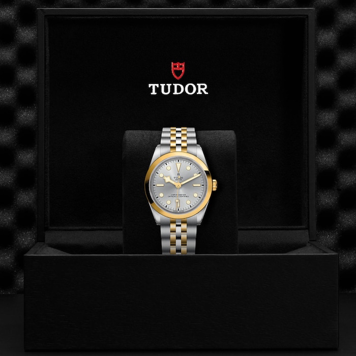 Tudor Black Bay 36